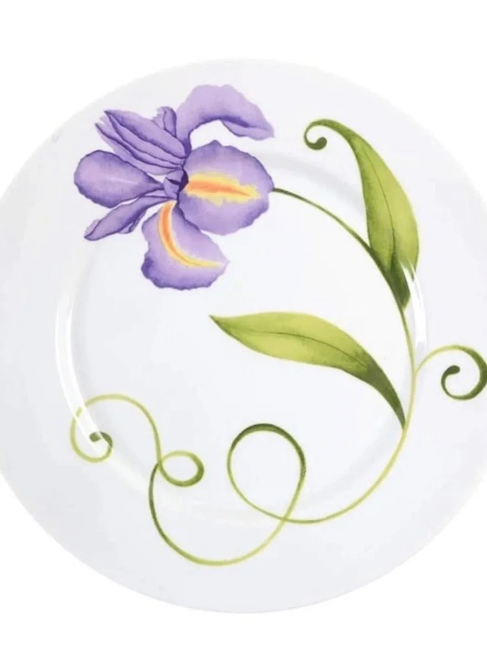 Westbury Court “Lyrical Bloom” Gorgeous Matching Flower Plates
